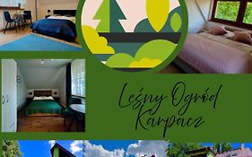 Leśny Ogród